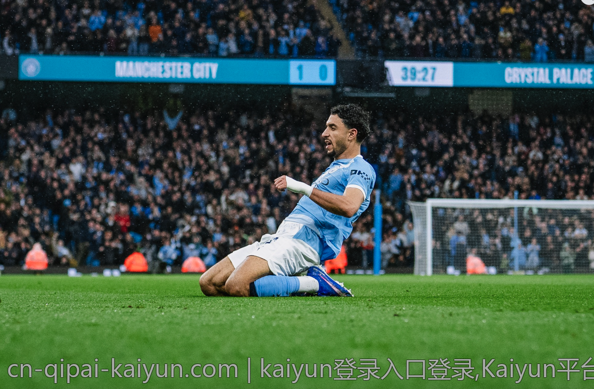 kaiyun登录入口登录,Kaiyun平台账号登录